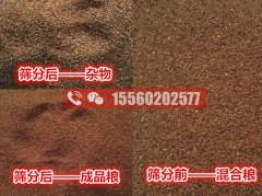 清除海藻籽里面的小石子用啥机器比较好?海藻籽筛分机